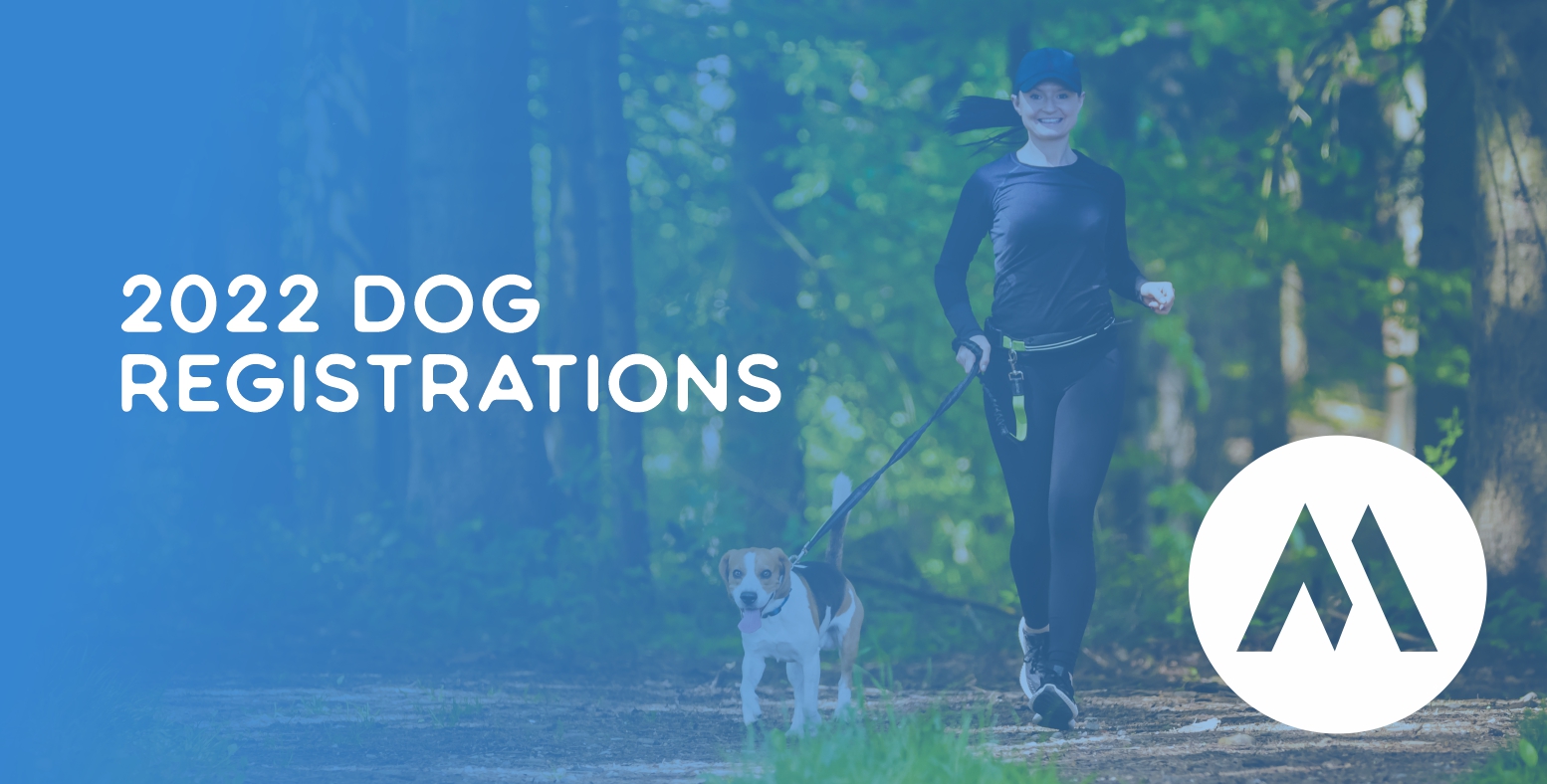 Baxter State Park Millinocket